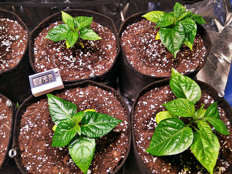 Gronest Stofftöpfe 1 - 75 Liter