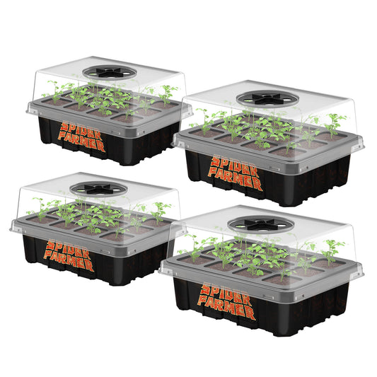 4 Pack Spider Farmer Anzuchtbox