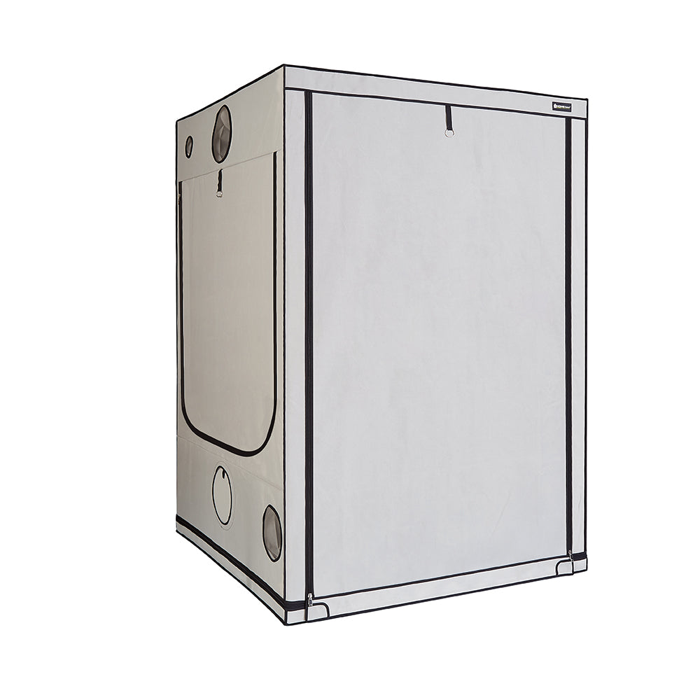 HomeBox Ambient Q150+ 150x150x220 cm Growbox