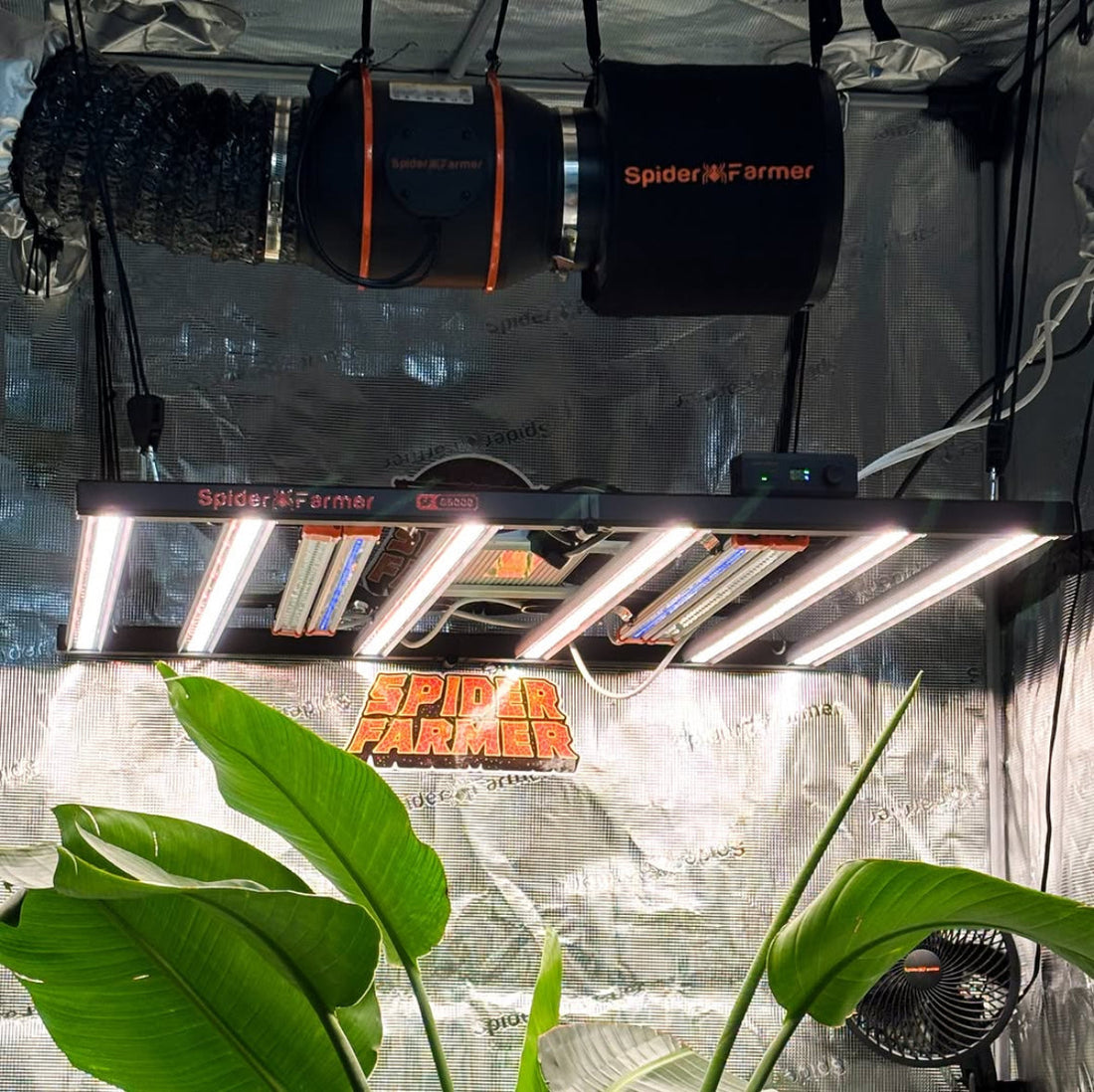 Leitfaden zur Auswahl der richtigen LED Grow Lampe für verschiedene Anbauflächen und Blütephasen 