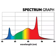 Lichtspektrum und Pflanzenwachstum: Ein umfassender Leitfaden