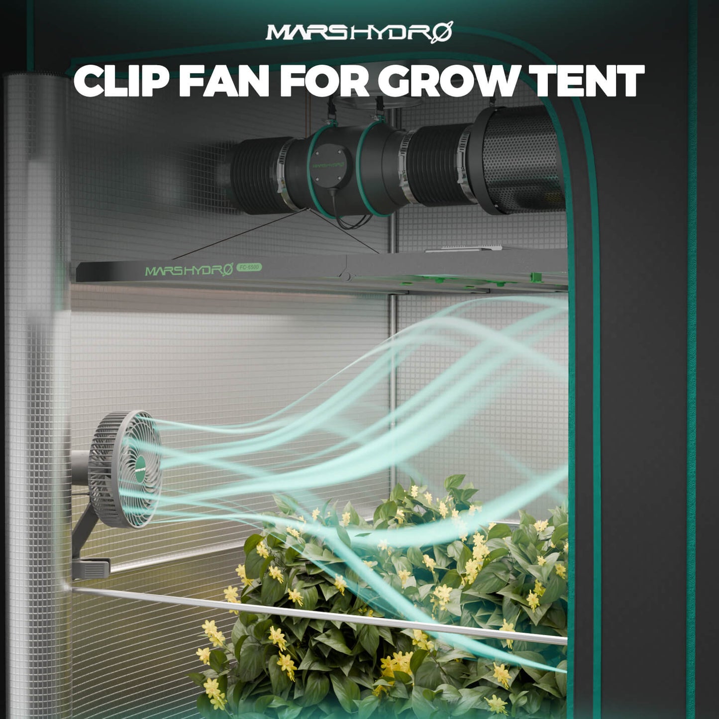 Mars Hydro Growbox Komplettset 100x100x180 cm mit FC 3000 300W