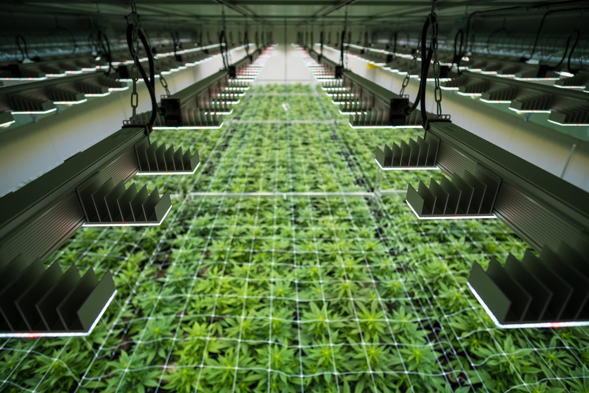 Fortschrittliche Technologie - Hergestellt in Österreich