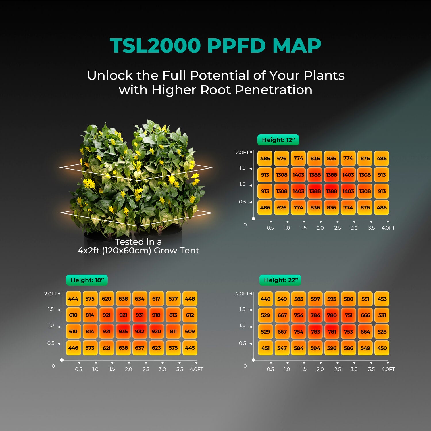 Mars Hydro TSL 2000 PPFD-Karte – Lichtverteilung auf 120x60 cm bei 30 cm Abstand