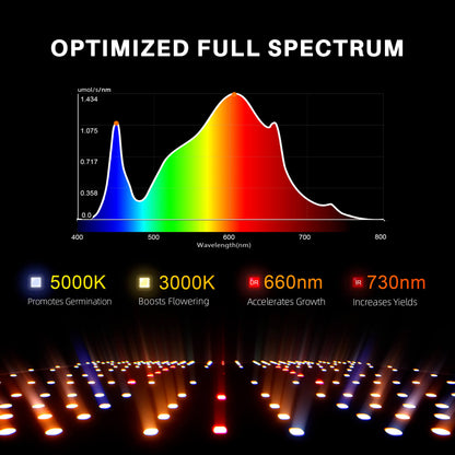 Spider Farmer SF1000D Lichtspektrum – Vollspektrum mit 3000K + 5000K + 660nm + 730nm IR