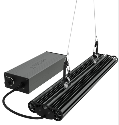 Greenception GCx-2 solo PWR / 80 Watt