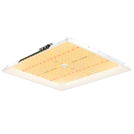MarsHydro TSW 2000 300 Watt LED