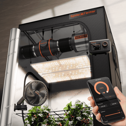 Spider Farmer 120x120x200cm Komplett Set SF4000 LED 450 Watt mit Smarter Steuerung