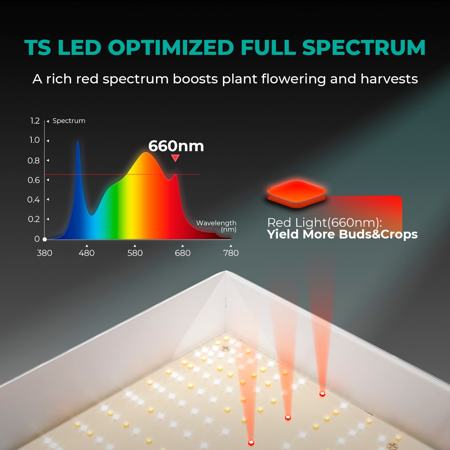 Mars Hydro 120x60x180 cm Komplett Set TSL 2000 LED 300 Watt