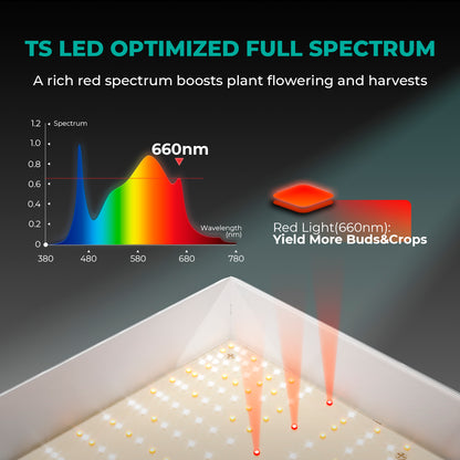 Mars Hydro 120x60x180 cm Komplett Set TSL 2000 LED 300 Watt