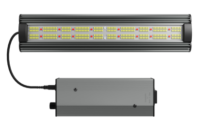 Greenception GCx-2 solo PWR / 80 Watt