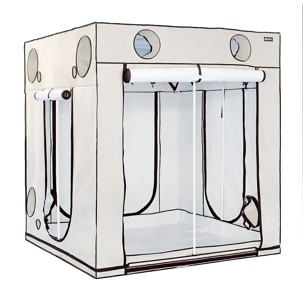 HomeBox Ambient Q200+ 200x200x220cm Growbox
