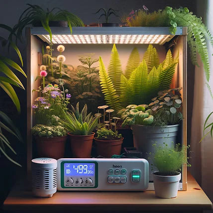 Simple GrowBlog