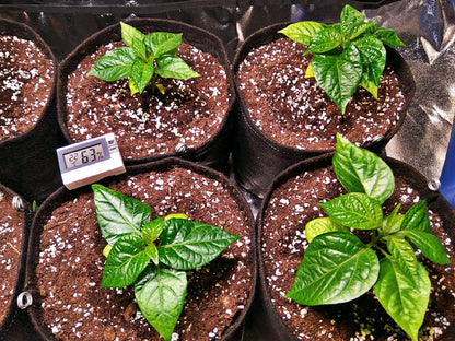 Gronest Stofftöpfe  1 - 75 Liter