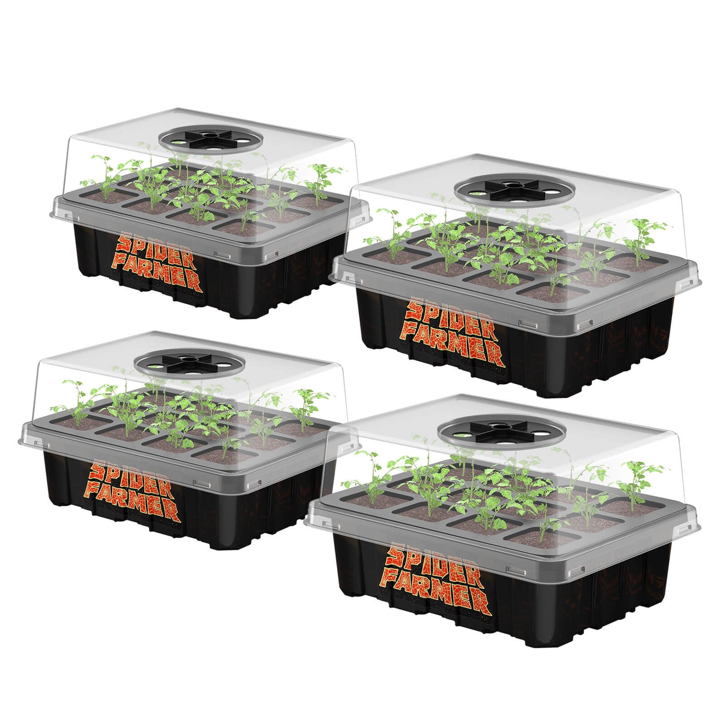 4 Pack Spider Farmer Seedtray - Anzuchtbox