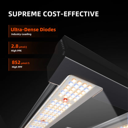 Spider Farmer G3000 LED Growlampe 300 Watt