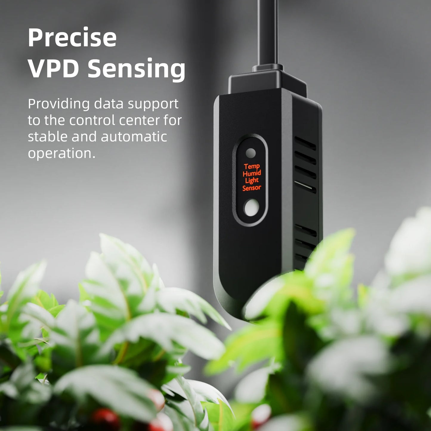 Spider Farmer GGS AC5 Smarte Steckdosenleiste mit Temperatur-, Feuchtigkeits- und Lichtsensor
