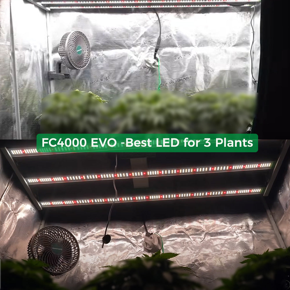 MarsHydro FC-4000-EVO Samsung LED 320W