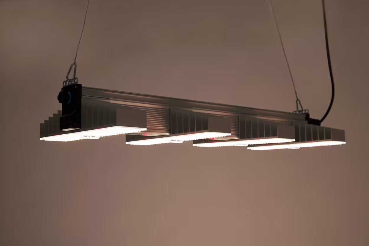 Sanlight Evo 4-100 1.5 / 265 Watt