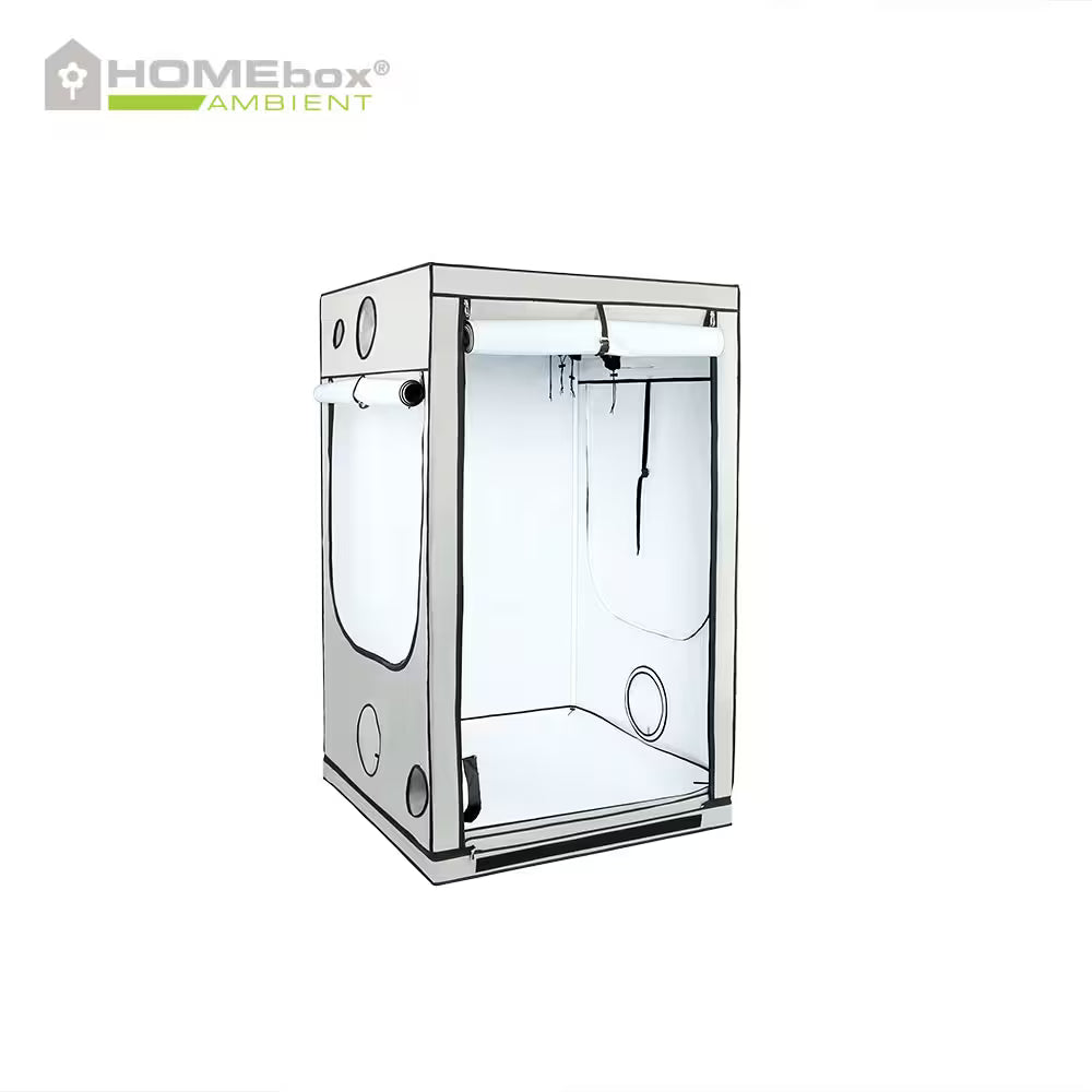 HomeBox Ambient Q120 120x120x200cm Growbox