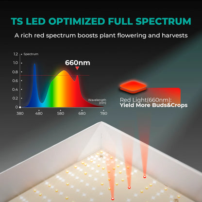 Mars Hydro 80x80x160 cm Komplett Set  TS 1000 LED 150 Watt