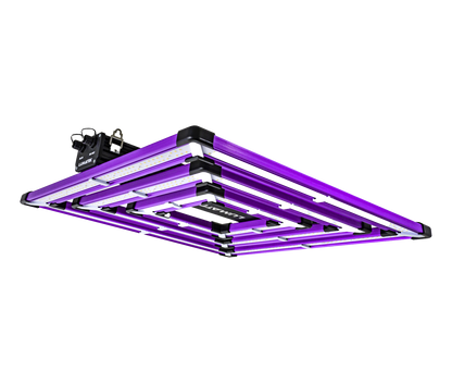 Homebox L Grow Set + Lumatek ATS300W Pro +Thermostat-Lüfter