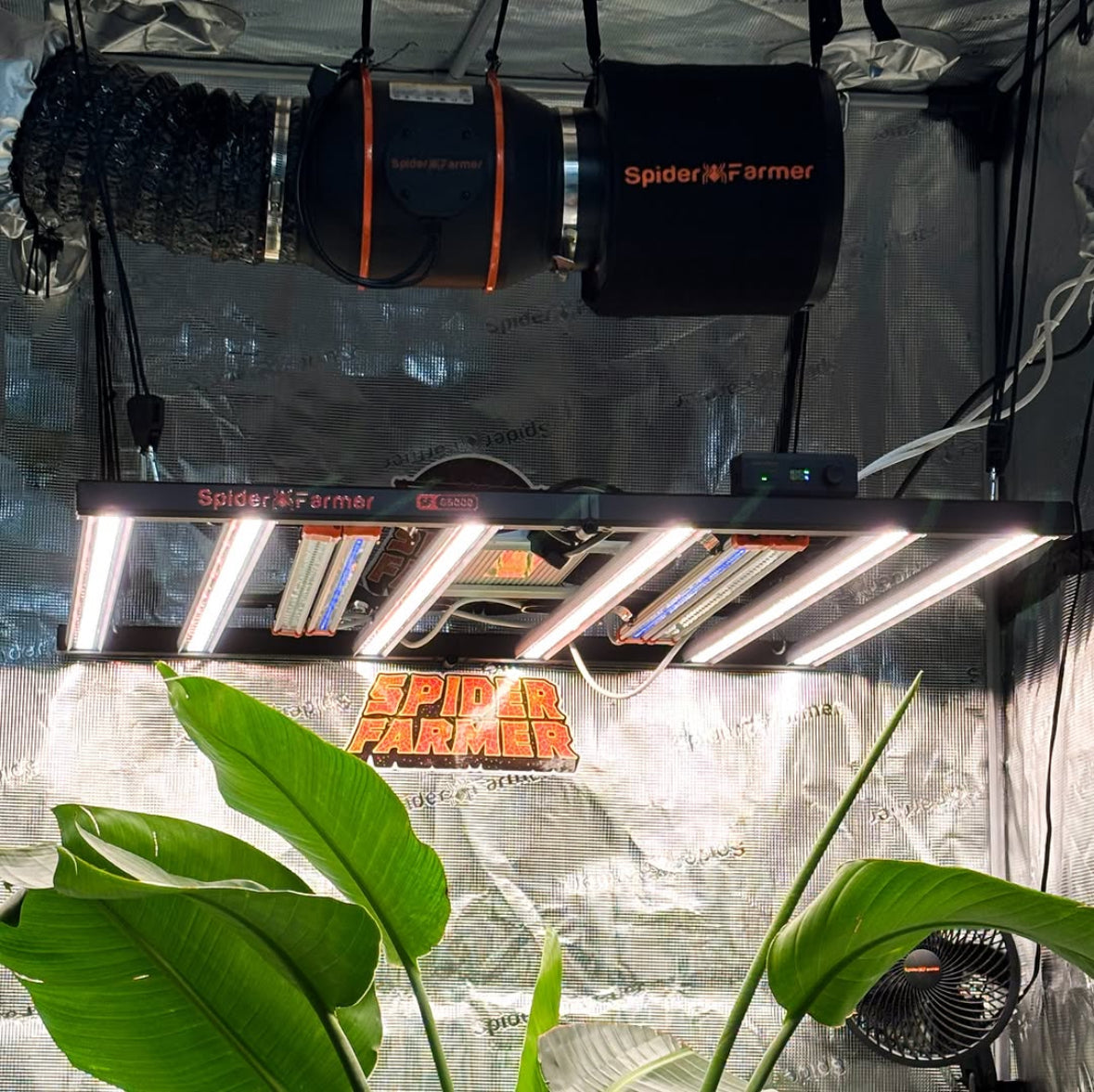 Spider Farmer Komplettsets — Growbox, LED & Lüftung im Bundle