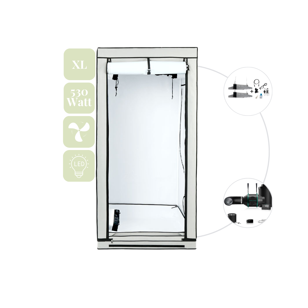 Homebox XL Grow Set + 2x SANlight 4-120 1.5 265 W +Thermostat-Lüfter