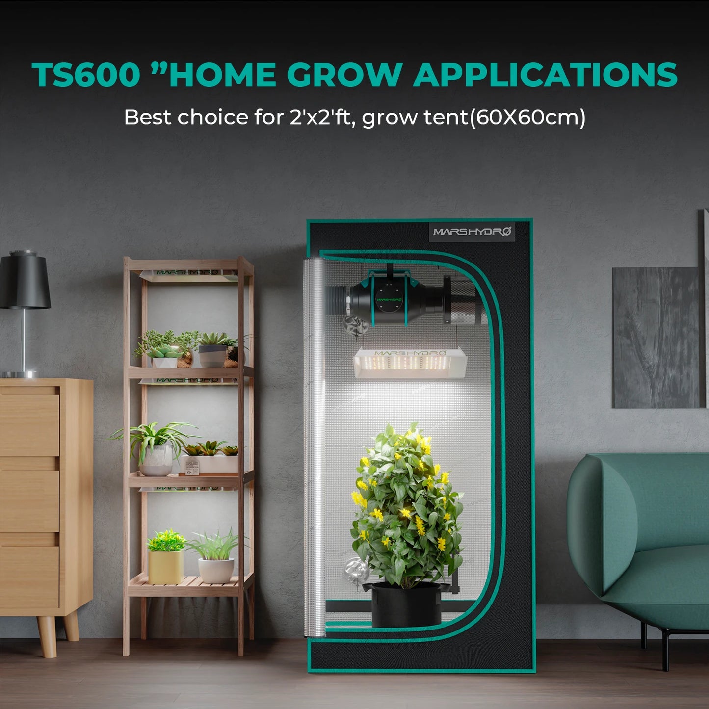 Mars Hydro TS 600 LED Komplett Set 60x60x140 cm