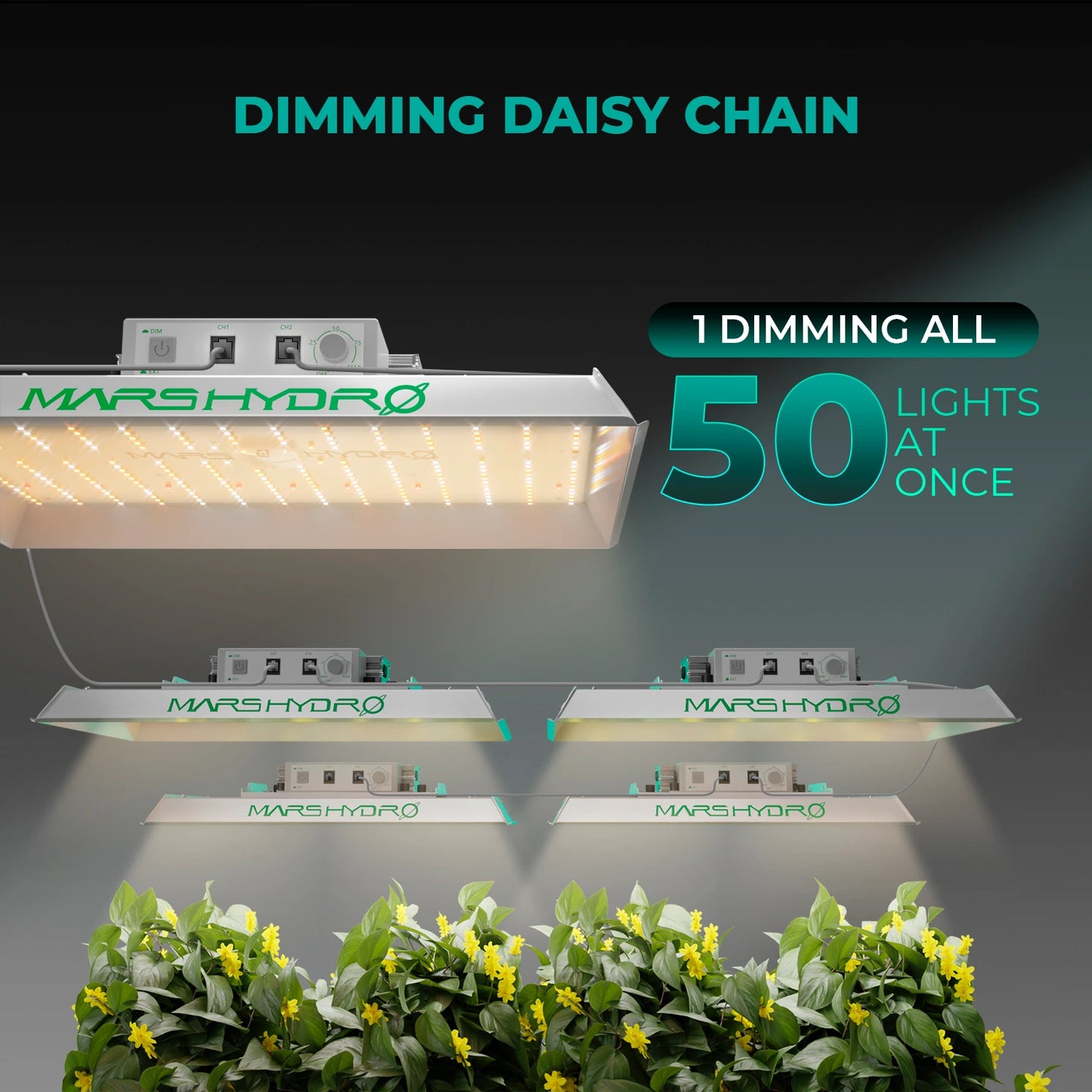 Mars Hydro TS1000 150 Watt LED