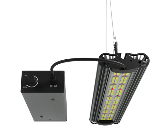 Greenception GCx-2 solo PWR / 80 Watt