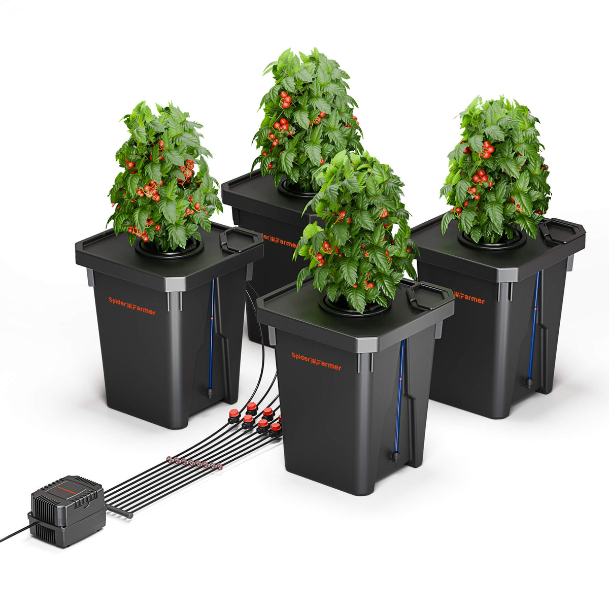 Spider Farmer DWC Hydrophonics