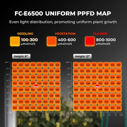 Mars Hydro FC-E6500 PPFD-Karte – gleichmäßige Lichtverteilung auf 150x150 cm