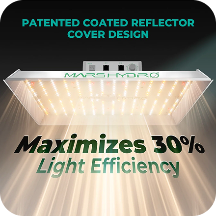 Effiziente 150-W-LED