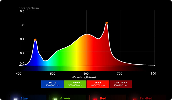 Vollspektrum LEDs