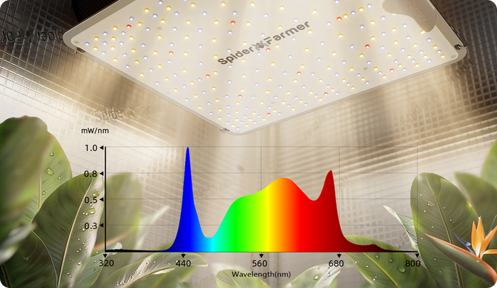 Full Spectrum Licht