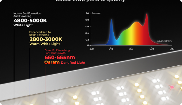 Vollspektrum LEDs