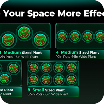 Perfekt für Home Grow