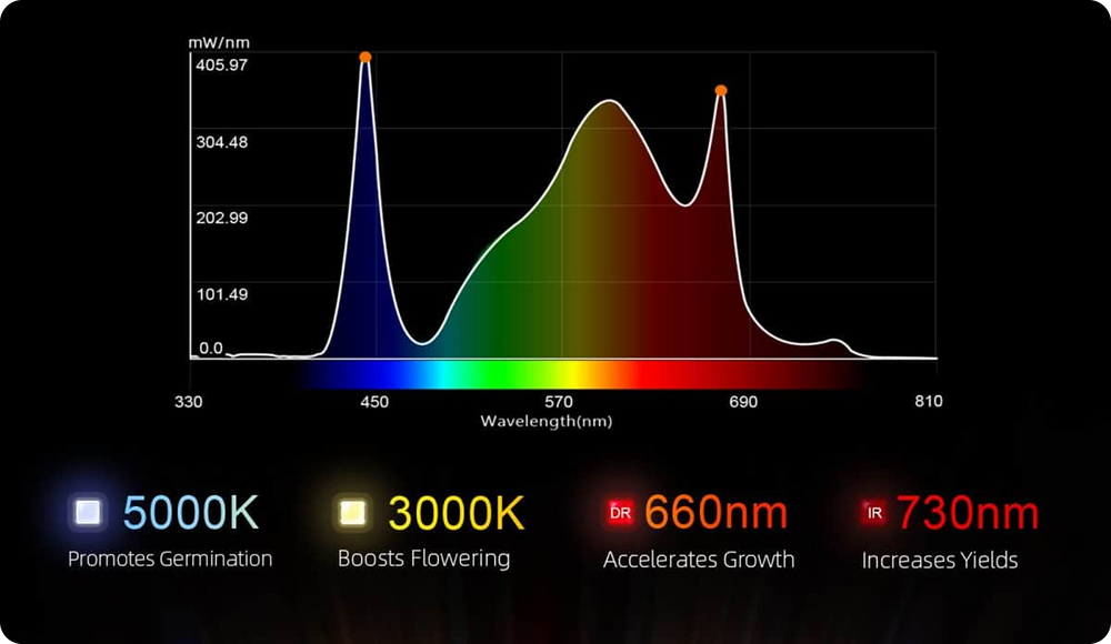 Full Spectrum Licht