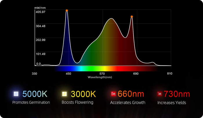 Full Spectrum Licht