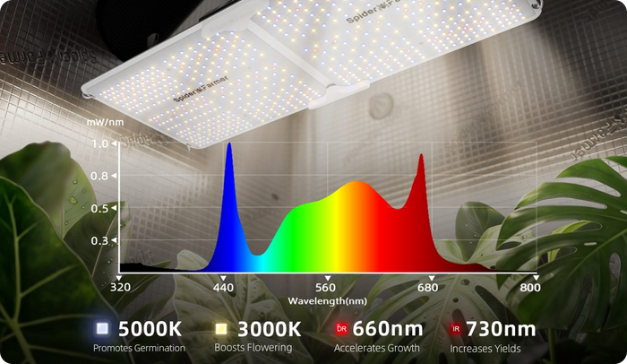 Full Spectrum LED