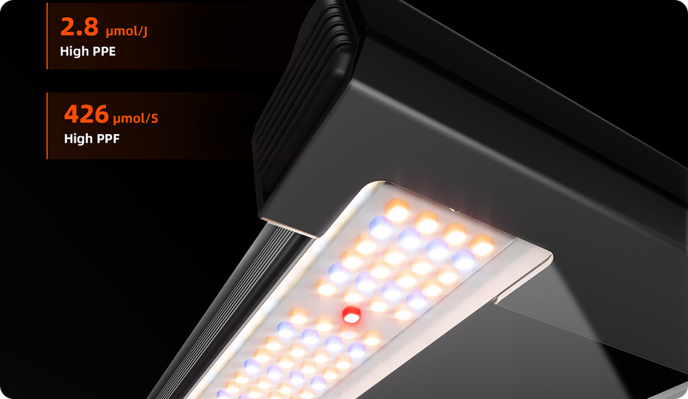 Hohe LED-Dichte