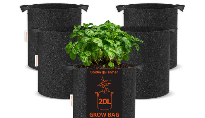Grow Bags