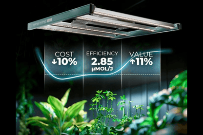 Mars Hydro Growbox Komplettset 100x100x180 cm mit FC 3000 300W