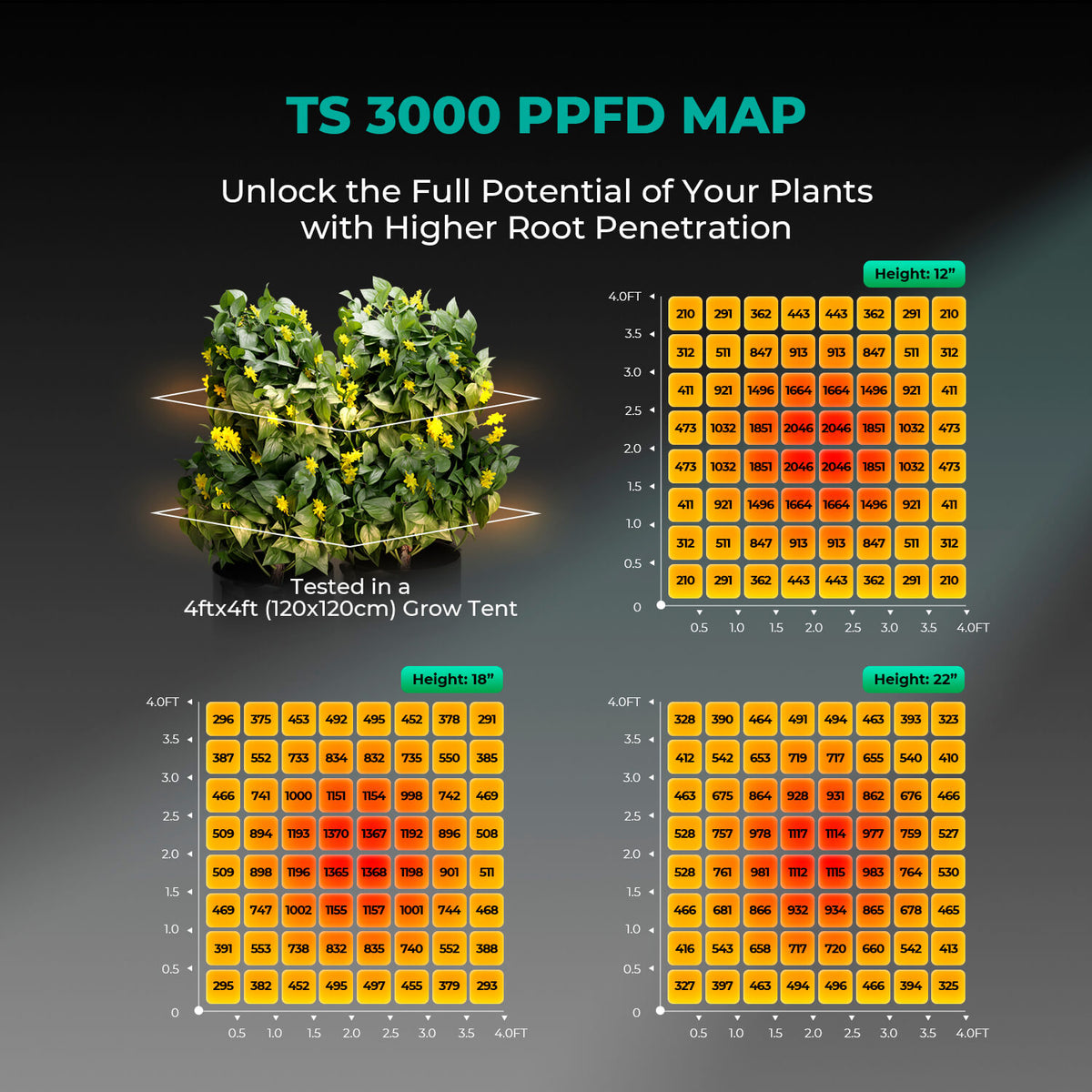 Mars Hydro TS 3000 PPFD-Karte für 120x120 cm Growbox – Lichtverteilung des Quantum Boards