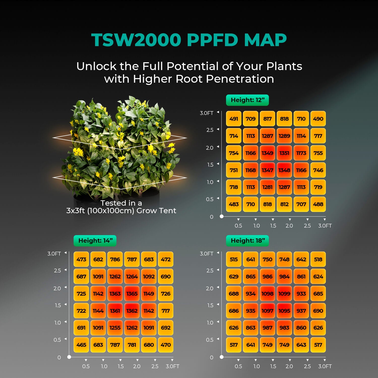 Mars Hydro TSW 2000 PPFD-Karte – Lichtverteilung auf 100x100 cm Growbox