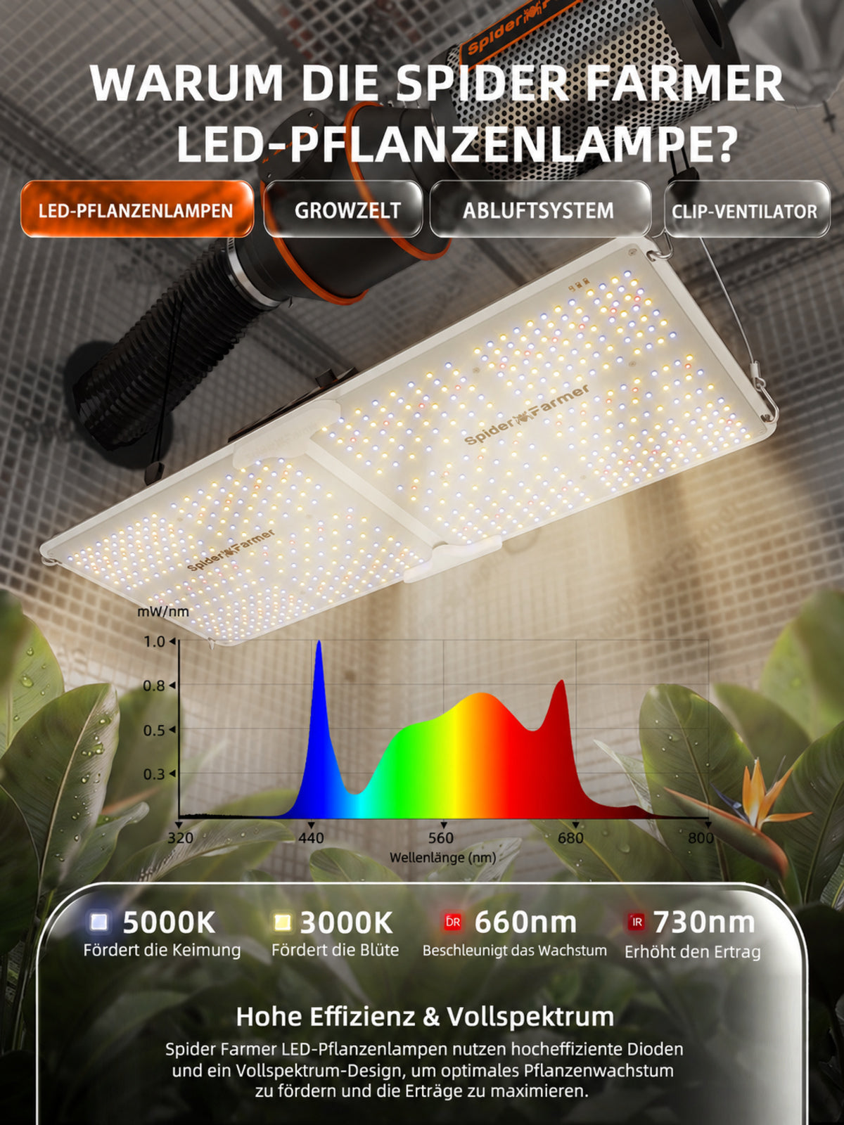 Spider Farmer Growbox Komplettset 120x60x180 cm mit SF2000 200W & App-Steuerung