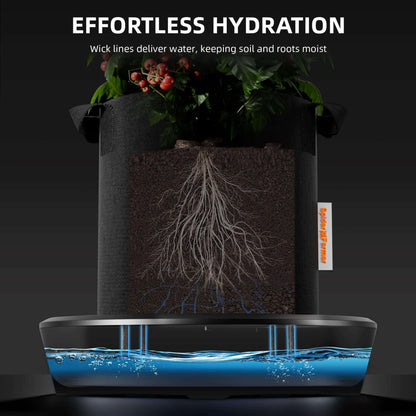 Spider Farmer 3 Pack Gravity FEd Silent self Watering