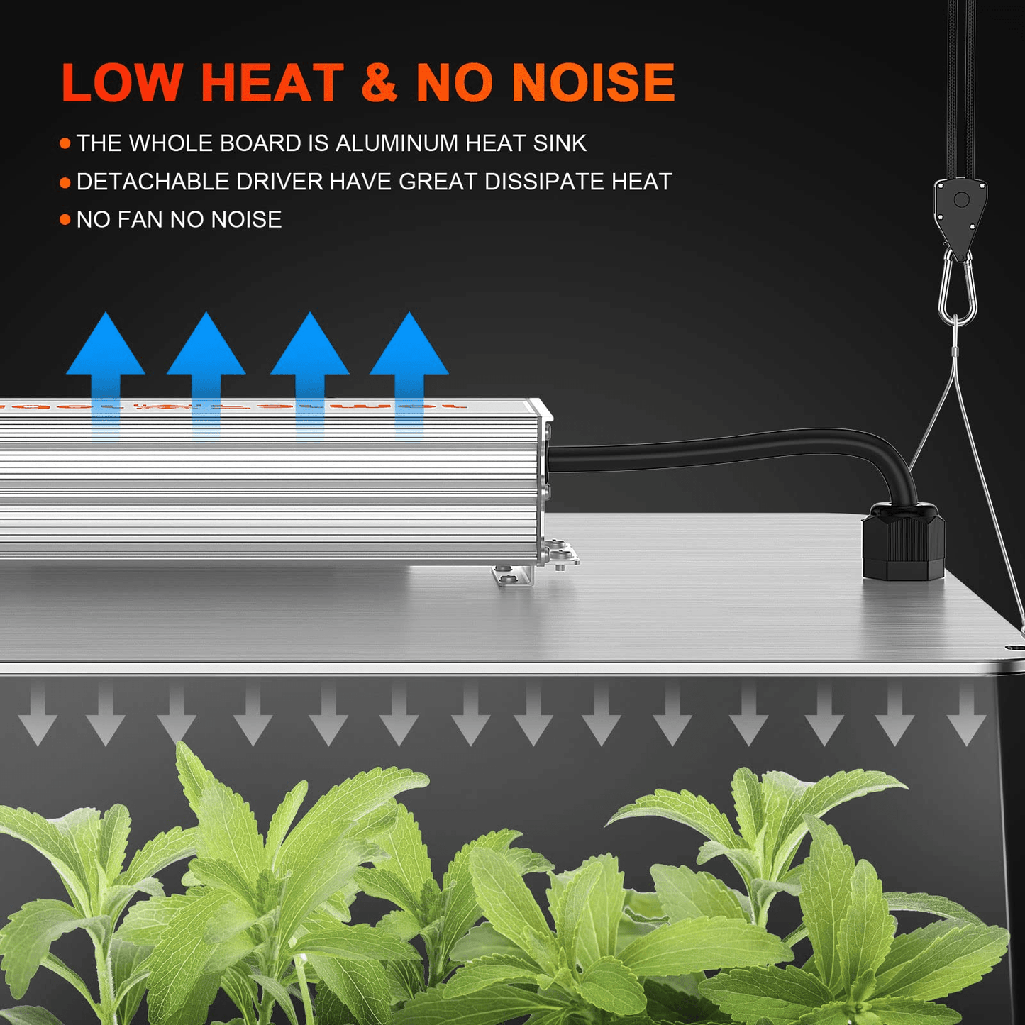 2025 Spider Farmer® 60x60x140cm Complete Grow Tent Kit丨SF1000D Full Spectrum
