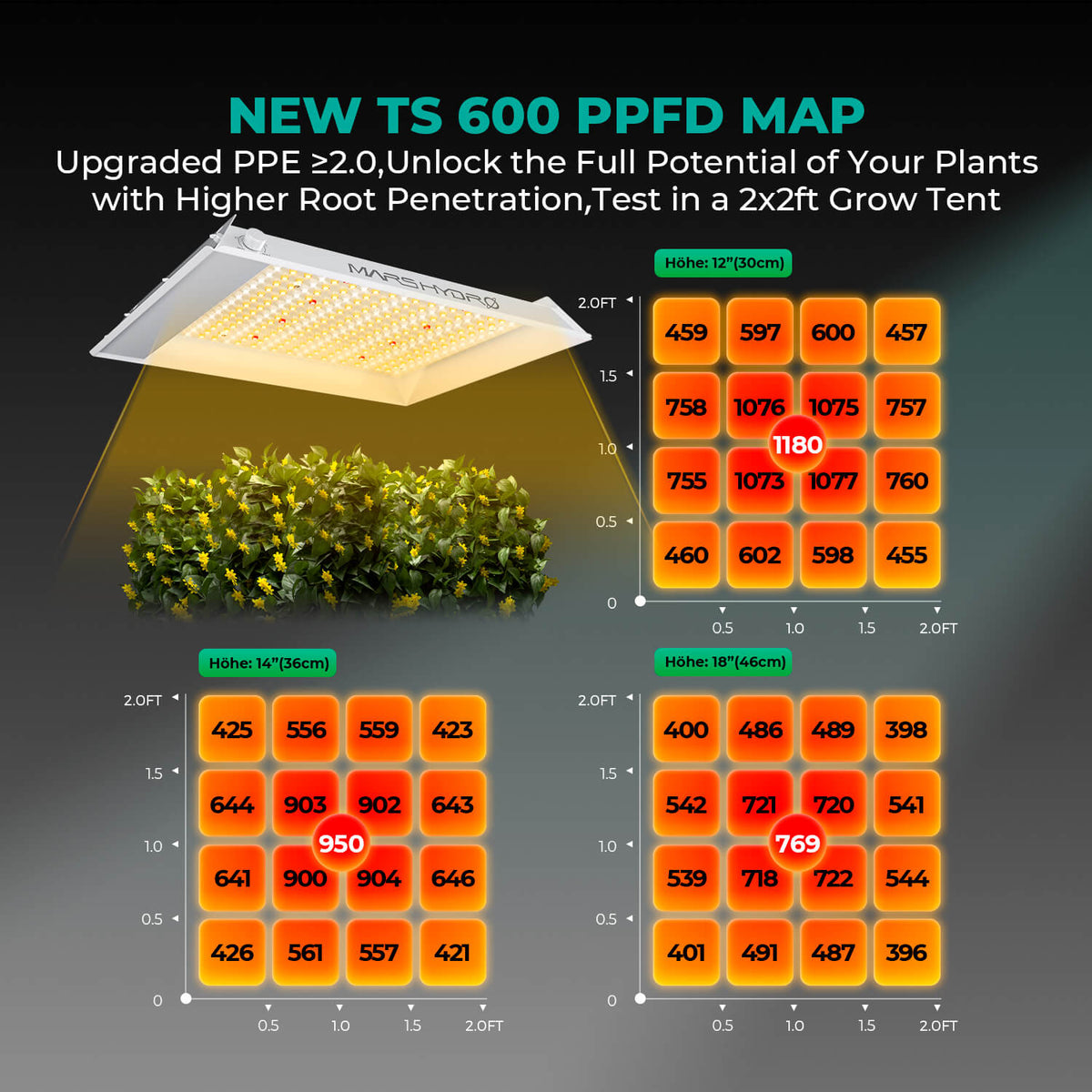 Mars Hydro TS600 – PPFD-Karte für 50x50 cm Blüte und 60x60 cm Wachstum